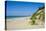 Indiana Sand Dunes, Indiana, United States of America, North America-Michael Runkel-Stretched Canvas