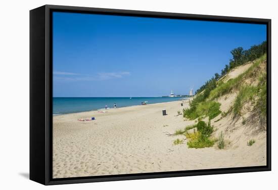 Indiana Sand Dunes, Indiana, United States of America, North America-Michael Runkel-Framed Stretched Canvas