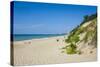 Indiana Sand Dunes, Indiana, United States of America, North America-Michael Runkel-Stretched Canvas