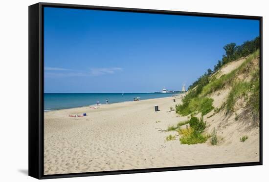 Indiana Sand Dunes, Indiana, United States of America, North America-Michael Runkel-Framed Stretched Canvas