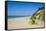 Indiana Sand Dunes, Indiana, United States of America, North America-Michael Runkel-Framed Stretched Canvas