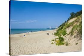 Indiana Sand Dunes, Indiana, United States of America, North America-Michael Runkel-Stretched Canvas