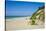 Indiana Sand Dunes, Indiana, United States of America, North America-Michael Runkel-Stretched Canvas