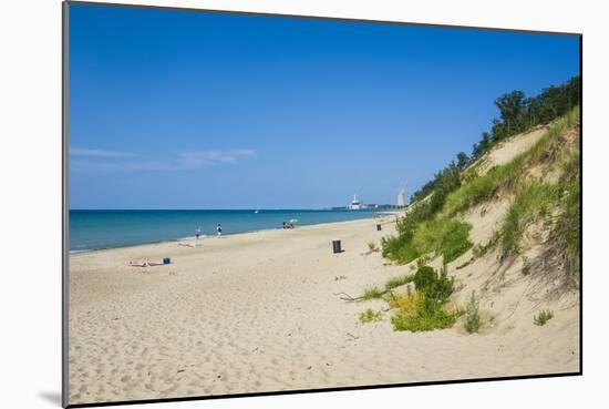 Indiana Sand Dunes, Indiana, United States of America, North America-Michael Runkel-Mounted Photographic Print