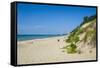 Indiana Sand Dunes, Indiana, United States of America, North America-Michael Runkel-Framed Stretched Canvas