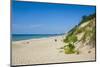 Indiana Sand Dunes, Indiana, United States of America, North America-Michael Runkel-Mounted Photographic Print