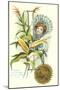 Indiana State Belle, Corn-null-Mounted Art Print