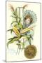 Indiana State Belle, Corn-null-Mounted Art Print