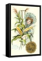 Indiana State Belle, Corn-null-Framed Stretched Canvas