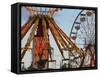 Indiana State Fair, Indianapolis, Indiana, Usa-Anna Miller-Framed Stretched Canvas