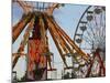 Indiana State Fair, Indianapolis, Indiana, Usa-Anna Miller-Mounted Photographic Print