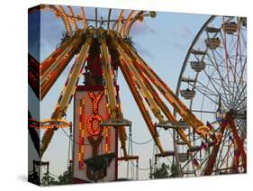 Indiana State Fair, Indianapolis, Indiana, Usa-Anna Miller-Stretched Canvas