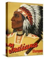 Indiana Stumpen-null-Stretched Canvas