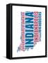 Indiana Word Cloud Map-NaxArt-Framed Stretched Canvas