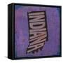 Indiana-Art Licensing Studio-Framed Stretched Canvas