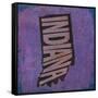 Indiana-Art Licensing Studio-Framed Stretched Canvas