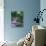 Indianapolis garden, Indianapolis, Indiana, USA-Anna Miller-Stretched Canvas displayed on a wall