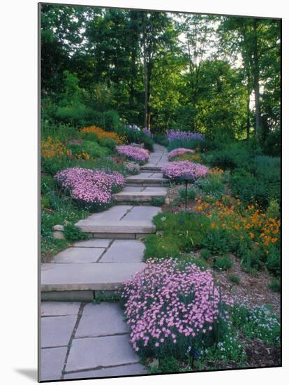 Indianapolis garden, Indianapolis, Indiana, USA-Anna Miller-Mounted Photographic Print