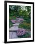 Indianapolis garden, Indianapolis, Indiana, USA-Anna Miller-Framed Photographic Print