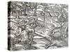 Indians Boar Hunting, Engraving from Universal Cosmology-Andre Thevet-Stretched Canvas