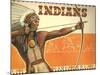 Indians, Bow and Arrow-null-Mounted Art Print