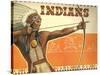 Indians, Bow and Arrow-null-Stretched Canvas