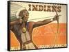 Indians, Bow and Arrow-null-Framed Stretched Canvas