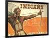 Indians, Bow and Arrow-null-Framed Art Print