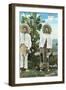 Indians from Central Mexico-null-Framed Art Print