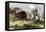 Indians Hunting Bison.-Tarker-Framed Stretched Canvas