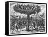 Indians in a Tree Hurling Projectiles at the Spanish-Theodor de Bry-Framed Stretched Canvas