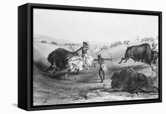 Indians Killing Buffalos-null-Framed Stretched Canvas