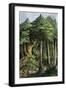 Indians Tapping the Caoutchouc, or India-Rubber Tree-null-Framed Giclee Print