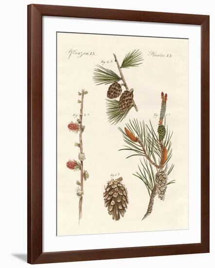 Indigenous Coniferous Woods-null-Framed Giclee Print