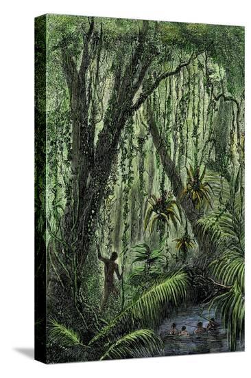 Stretched Canvas Print, , large
