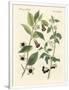 Gramercy White