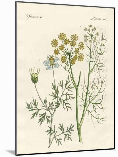 Indigenous Spice Plants-null-Mounted Giclee Print