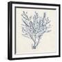 Indigo Algae II-Jennifer Goldberger-Framed Art Print