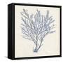 Indigo Algae II-Jennifer Goldberger-Framed Stretched Canvas