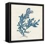 Indigo Algae III-Jennifer Goldberger-Framed Stretched Canvas