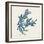 Indigo Algae III-Jennifer Goldberger-Framed Art Print