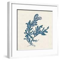 Indigo Algae III-Jennifer Goldberger-Framed Art Print