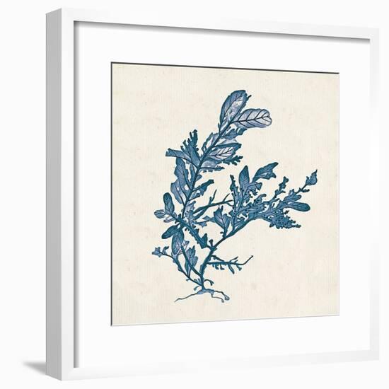 Indigo Algae III-Jennifer Goldberger-Framed Art Print