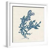 Indigo Algae III-Jennifer Goldberger-Framed Art Print