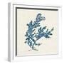 Indigo Algae III-Jennifer Goldberger-Framed Art Print