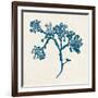 Indigo Algae IV-Jennifer Goldberger-Framed Premium Giclee Print