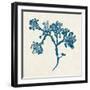 Indigo Algae IV-Jennifer Goldberger-Framed Art Print