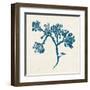 Indigo Algae IV-Jennifer Goldberger-Framed Art Print