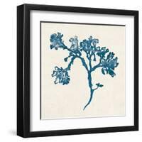 Indigo Algae IV-Jennifer Goldberger-Framed Art Print