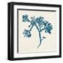 Indigo Algae IV-Jennifer Goldberger-Framed Art Print